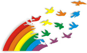 Cooperativa Electrica de Curaru